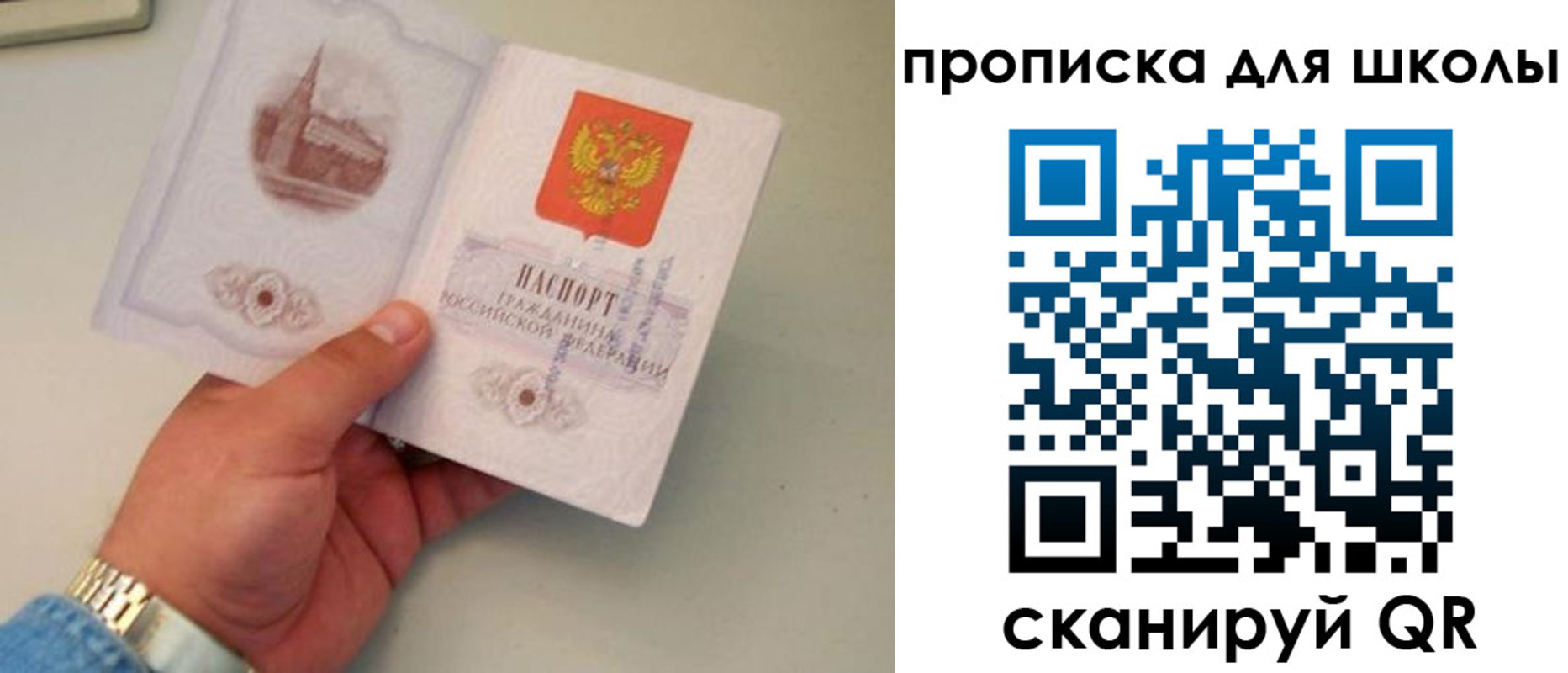 временная регистрация поиск в Оленегорске